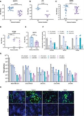 Fatty acid transport protein inhibition sensitizes breast and ovarian cancers to oncolytic virus therapy via lipid modulation of the tumor microenvironment